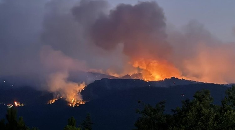 Orman yangınlarına müdahalede "alev kırbacı" tehlikesi