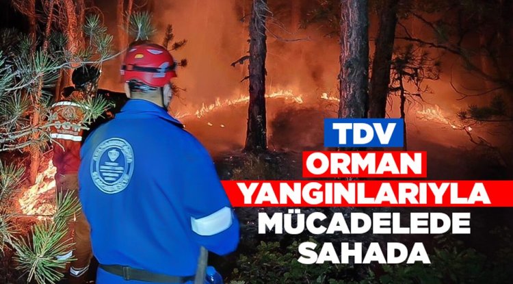 TDV, orman yangınlarıyla mücadelede sahada