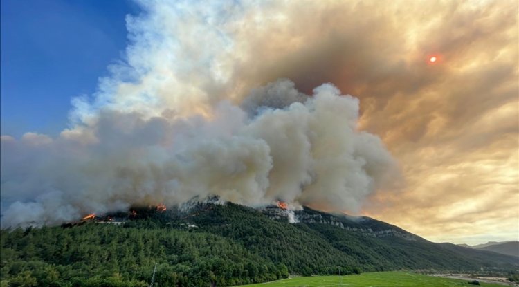 İletişim Başkanlığı orman yangınlarına ilişkin rehber hazırladı