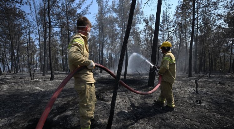 Çeşitli illerden gelen orman kahramanları, Karabük'te 6 gündür alevlerle mücadele ediyor