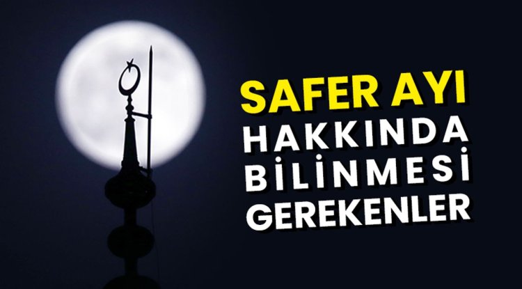 Safer Ayı hakkında bilinmesi gerekenler