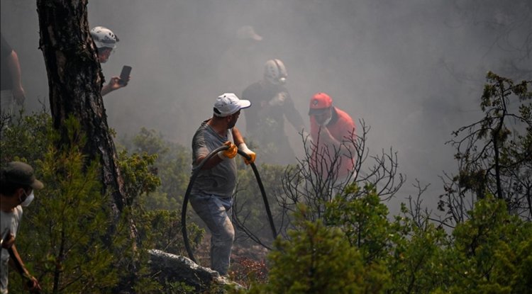 Orman yangınlarından etkilenen üç ile 10 milyon lira destek