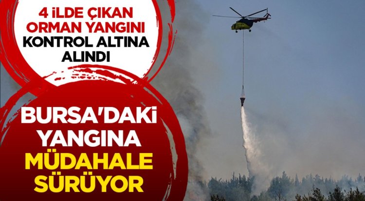 4 ilde çıkan orman yangını kontrol altına alındı, Bursa'daki yangına müdahale sürüyor