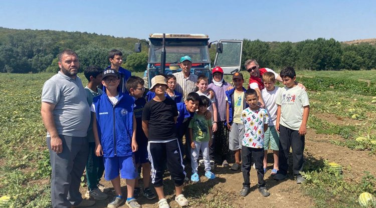 Tekirdağlı öğrencilerden gönüllü hasat etkinliği