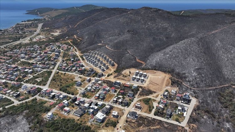 İzmir ve Bilecik'in orman yangınından etkilenen ilçeleri "Genel Hayata Etkili Afet Bölgesi" ilan edildi