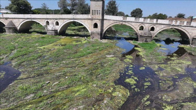 Kuraklığın etkilediği Tunca Nehri'nde su akışı durma noktasına geldi