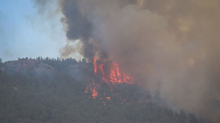 Sakarya'da ormanlık alanda çıkan yangın Bilecik tarafına sıçradı