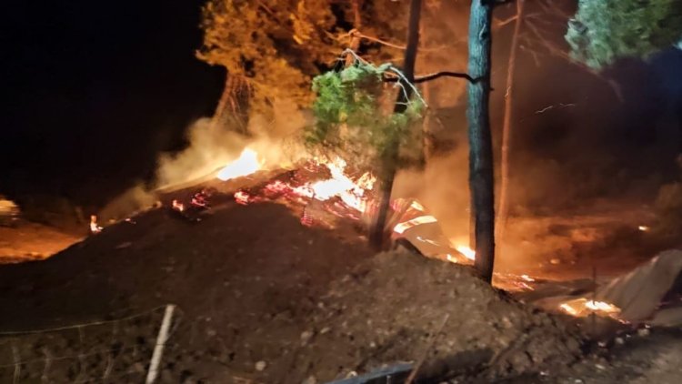 Bilecik'te çiftlikte başlayıp ormanlık alana sıçrayan yangın kontrol altına alındı
