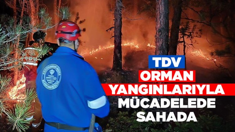 TDV, orman yangınlarıyla mücadelede sahada
