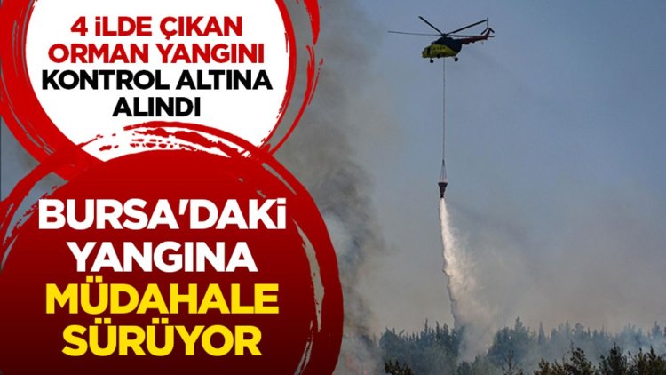 4 ilde çıkan orman yangını kontrol altına alındı, Bursa'daki yangına müdahale sürüyor