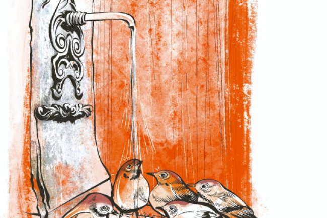 Serçeler ve karıncalar