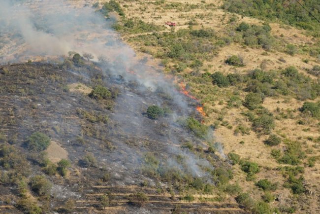 Tekirdağ'da makilikte çıkan yangın kontrol altına alındı