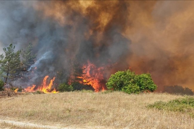 Bursa'da ormanlık alanda çıkan yangına müdahale ediliyor