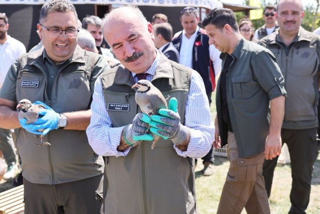 Çorum'da 300 keklik doğaya bırakıldı