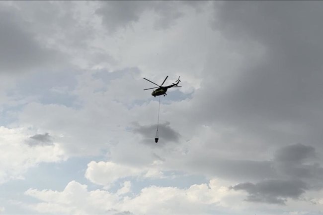 Edirne'de çıkan orman yangınına müdahale ediliyor