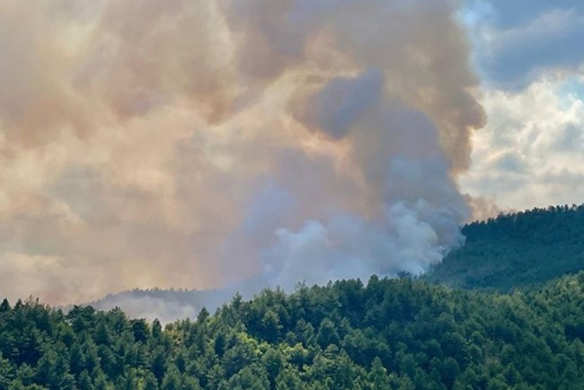 Karabük'te ormanlık alanda yeniden yangın çıktı