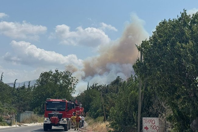Çanakkale'de tarım arazisinde başlayıp ormana sıçrayan yangına müdahale ediliyor