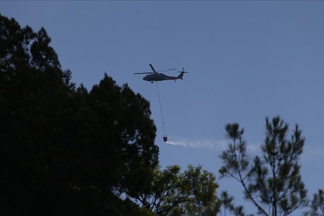 Sinop ve Mersin'de çıkan orman yangınlarına müdahale ediliyor