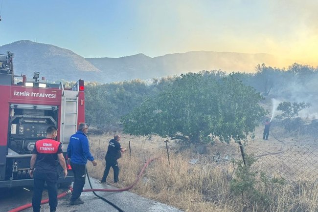 İzmir Dikili'de sitede çıkarak makilik alana sıçrayan yangına müdahale ediliyor