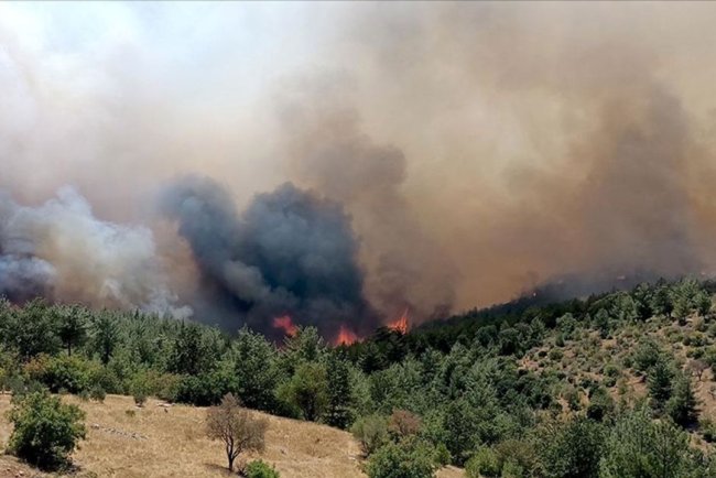 Mersin ve Çanakkale'de çıkan orman yangınlarına müdahale ediliyor