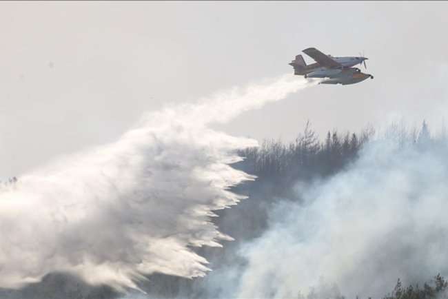 Çanakkale'nin Gelibolu bölgesindeki orman yangını tamamen kontrol altına alındı
