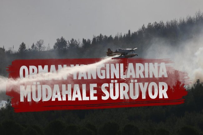 Orman yangınlarına müdahale sürüyor