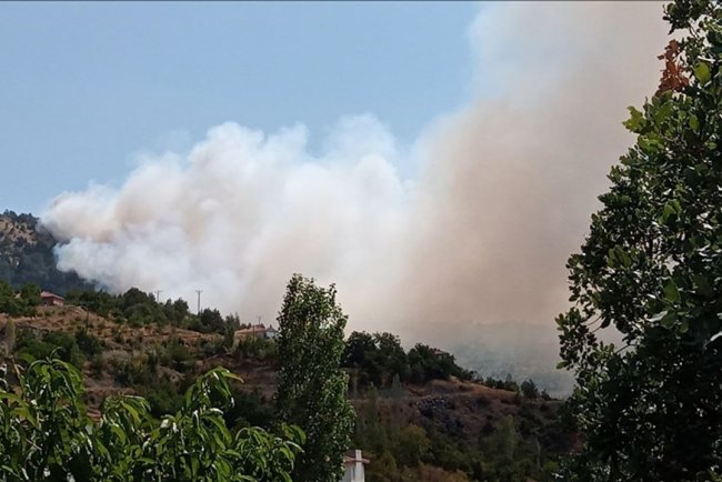 Çorum ve Malatya'da çıkan orman yangınlarına müdahale ediliyor