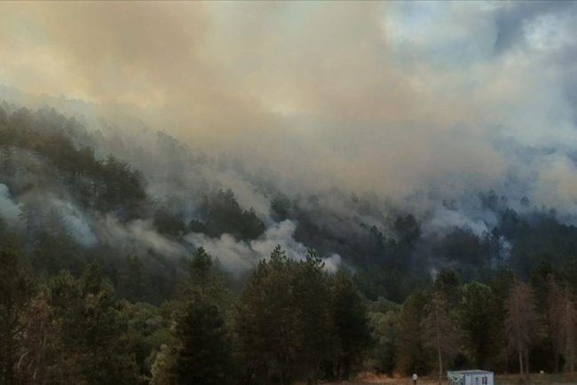 Bolu'da ormanlık alanda çıkan yangına müdahale ediliyor