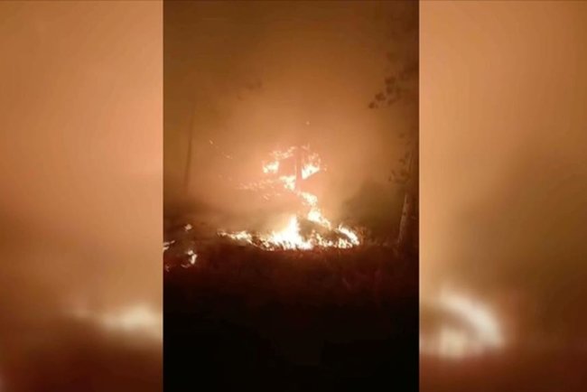 Muğla'da çıkan orman yangınına müdahale ediliyor