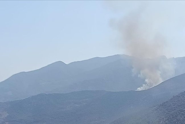 Muğla'da ormanlık alanda yangın çıktı