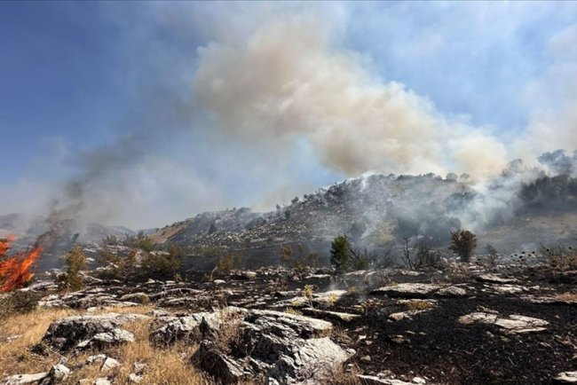Bingöl'de ormanlık alanda çıkan yangına müdahale ediliyor