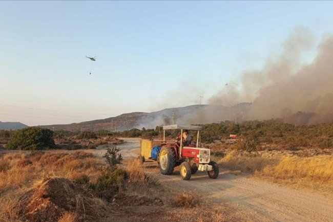İzmir'de tarım alanında başlayan yangın ormana sıçradı