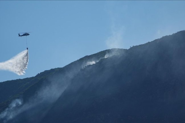 İzmir'in Seferihisar ilçesinde orman yangını çıktı