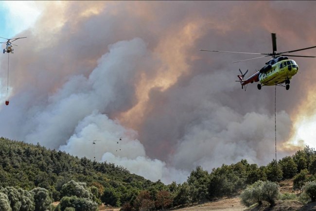 Bursa ve Hatay'daki orman yangınlarına müdahale ediliyor