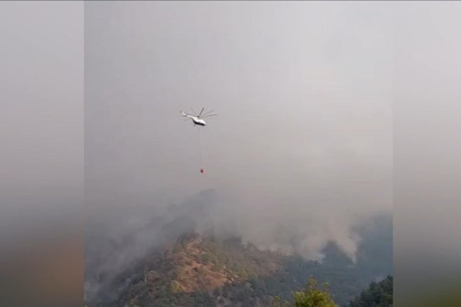 Denizli'de çıkan orman yangınına müdahale sürüyor