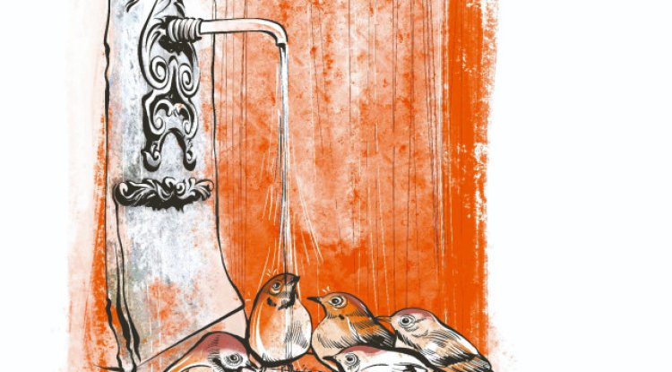 Serçeler ve karıncalar