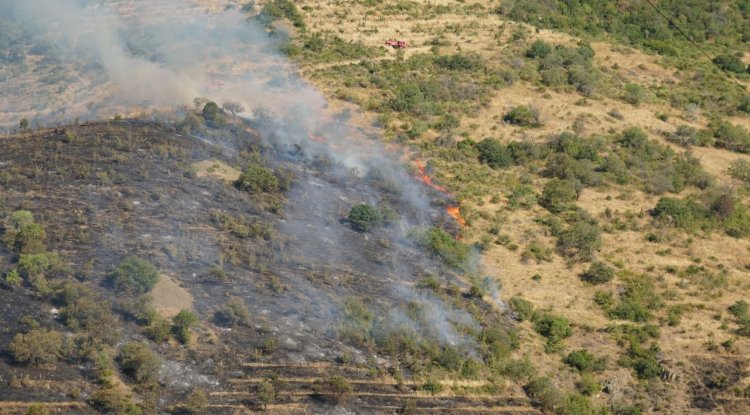 Tekirdağ'da makilikte çıkan yangın kontrol altına alındı