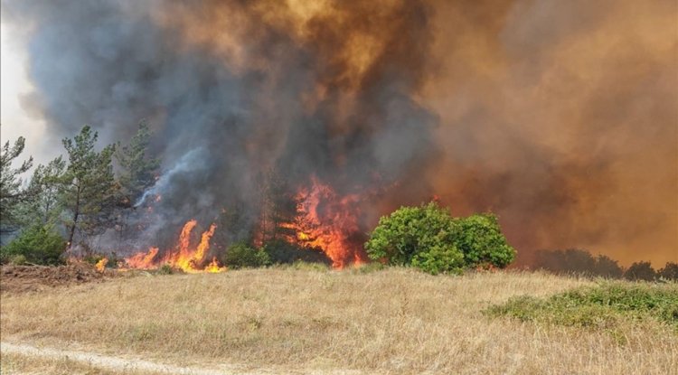 Bursa'da ormanlık alanda çıkan yangına müdahale ediliyor