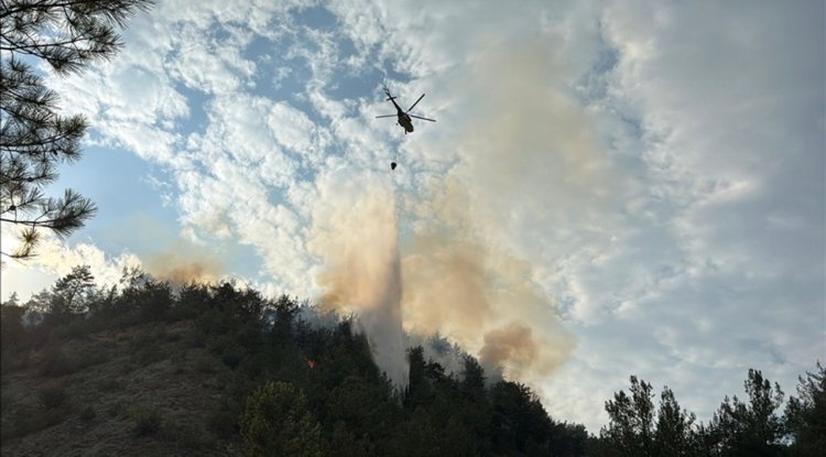 Karabük'te çıkan orman yangını müdahaleler sonucu kontrol altına alındı.