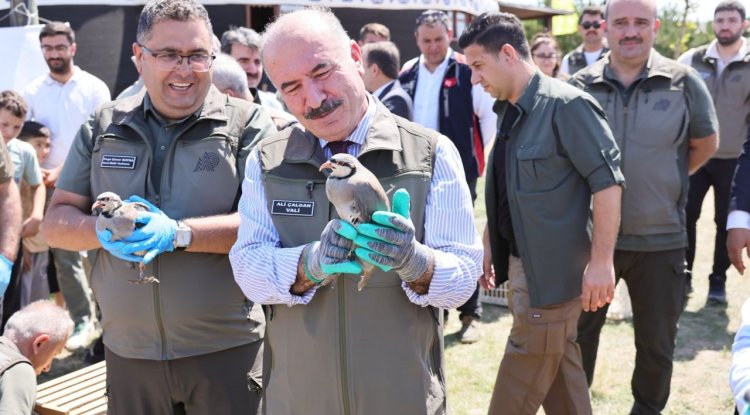 Çorum'da 300 keklik doğaya bırakıldı