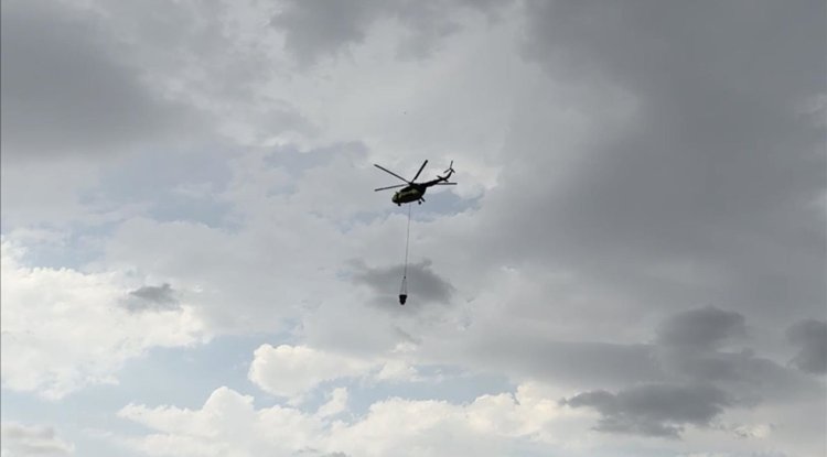Edirne'de çıkan orman yangınına müdahale ediliyor