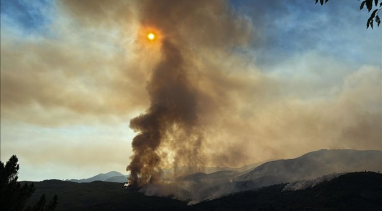 İspanya'nın güneyindeki yangınlar nedeniyle 1500'den fazla kişi tahliye edildi