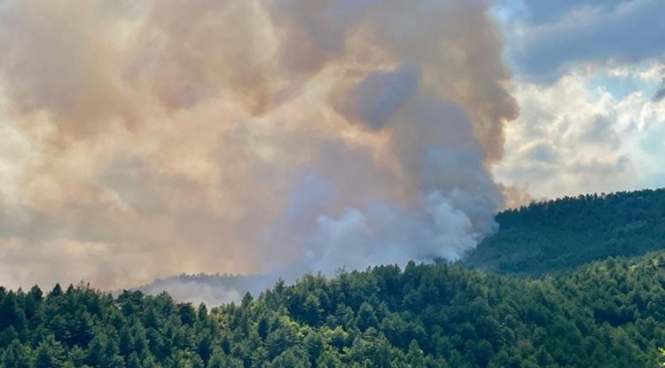 Karabük'te ormanlık alanda yeniden yangın çıktı