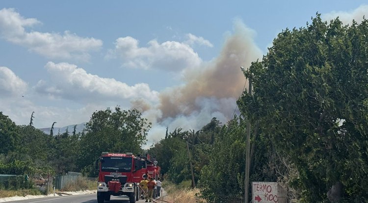 Çanakkale'de tarım arazisinde başlayıp ormana sıçrayan yangına müdahale ediliyor