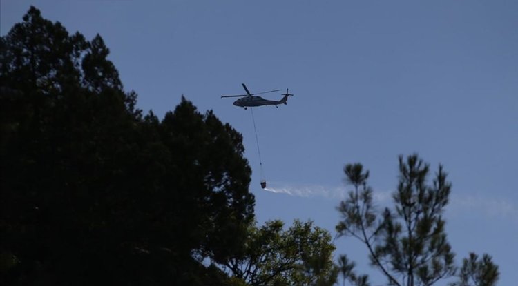 Sinop ve Mersin'de çıkan orman yangınlarına müdahale ediliyor