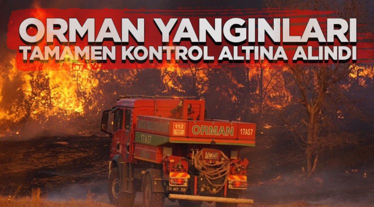 Çanakkale, Edirne, Hatay ve Manisa'daki orman yangınları tamamen kontrol altına alındı