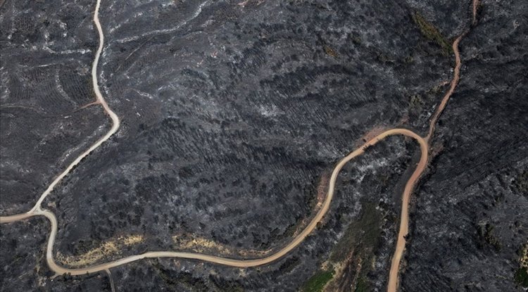 Orman mühendislerinden yanan alanlara ilişkin "ekolojik denge" uyarısı
