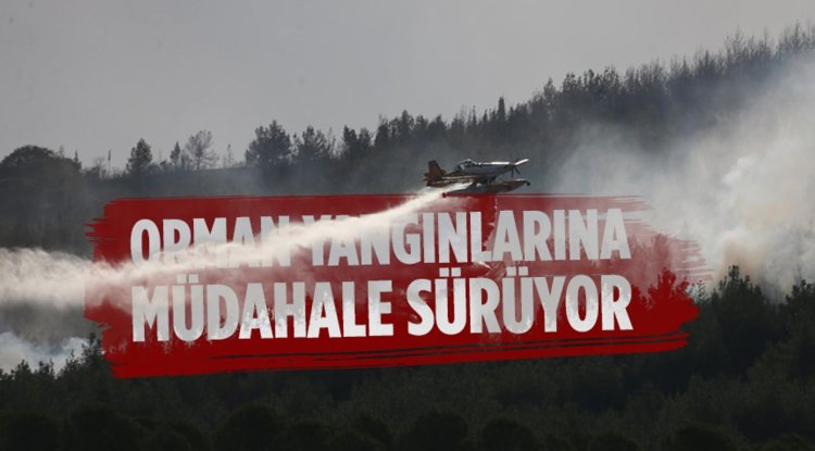 Orman yangınlarına müdahale sürüyor