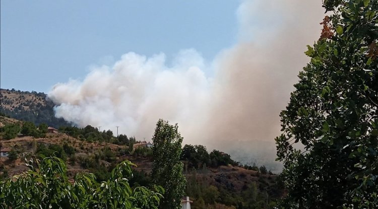 Çorum ve Malatya'da çıkan orman yangınlarına müdahale ediliyor