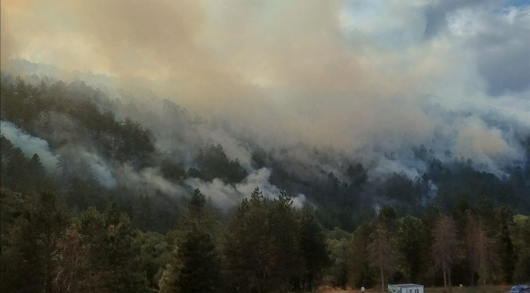 Bolu'da ormanlık alanda çıkan yangına müdahale ediliyor